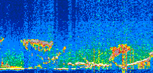 /calipso-imagery/data/BROWSE/production/V5-00/2021-04-29/2021-04-29_17-17-34_V5.00_3_thmb.png image missing
