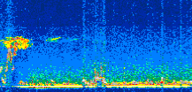 /calipso-imagery/data/BROWSE/production/V5-00/2021-05-01/2021-05-01_00-29-33_V5.00_2_thmb.png image missing