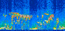/calipso-imagery/data/BROWSE/production/V5-00/2021-05-01/2021-05-01_02-08-09_V5.00_2_thmb.png image missing