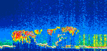 /calipso-imagery/data/BROWSE/production/V5-00/2021-05-01/2021-05-01_13-37-45_V5.00_1_thmb.png image missing