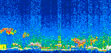 /calipso-imagery/data/BROWSE/production/V5-00/2021-05-01/2021-05-01_13-37-45_V5.00_3_thmb.png image missing