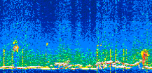 /calipso-imagery/data/BROWSE/production/V5-00/2021-05-01/2021-05-01_21-50-21_V5.00_3_thmb.png image missing
