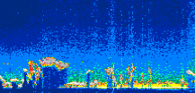 /calipso-imagery/data/BROWSE/production/V5-00/2021-05-01/2021-05-01_23-28-56_V5.00_1_thmb.png image missing