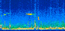/calipso-imagery/data/BROWSE/production/V5-00/2021-05-01/2021-05-01_23-28-56_V5.00_2_thmb.png image missing