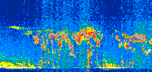 /calipso-imagery/data/BROWSE/production/V5-00/2021-05-20/2021-05-20_05-54-26_V5.00_2_thmb.png image missing