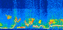 /calipso-imagery/data/BROWSE/production/V5-00/2021-05-20/2021-05-20_14-07-02_V5.00_3_thmb.png image missing