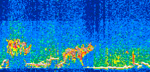 /calipso-imagery/data/BROWSE/production/V5-00/2021-05-20/2021-05-20_23-58-13_V5.00_3_thmb.png image missing