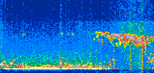 /calipso-imagery/data/BROWSE/production/V5-00/2021-06-11/2021-06-11_01-42-07_V5.00_2_thmb.png image missing