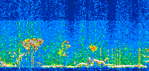 /calipso-imagery/data/BROWSE/production/V5-00/2021-06-11/2021-06-11_01-42-07_V5.00_3_thmb.png image missing