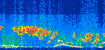 /calipso-imagery/data/BROWSE/production/V5-00/2021-06-11/2021-06-11_03-20-37_V5.00_3_thmb.png image missing