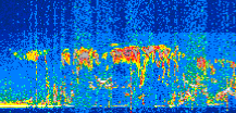 /calipso-imagery/data/BROWSE/production/V5-00/2021-06-11/2021-06-11_06-37-42_V5.00_2_thmb.png image missing