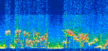 /calipso-imagery/data/BROWSE/production/V5-00/2021-06-11/2021-06-11_11-33-13_V5.00_3_thmb.png image missing