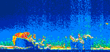 /calipso-imagery/data/BROWSE/production/V5-00/2021-06-16/2021-06-16_03-12-22_V5.00_1_thmb.png image missing