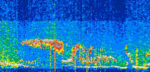 /calipso-imagery/data/BROWSE/production/V5-00/2021-06-16/2021-06-16_04-50-52_V5.00_3_thmb.png image missing
