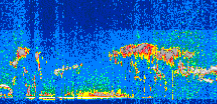 /calipso-imagery/data/BROWSE/production/V5-00/2021-06-16/2021-06-16_08-07-57_V5.00_2_thmb.png image missing