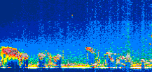 /calipso-imagery/data/BROWSE/production/V5-00/2021-06-16/2021-06-16_09-46-28_V5.00_1_thmb.png image missing