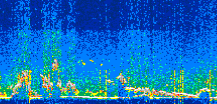 /calipso-imagery/data/BROWSE/production/V5-00/2021-06-16/2021-06-16_11-24-58_V5.00_3_thmb.png image missing