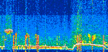 /calipso-imagery/data/BROWSE/production/V5-00/2021-06-16/2021-06-16_14-41-58_V5.00_3_thmb.png image missing