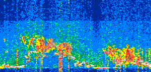 /calipso-imagery/data/BROWSE/production/V5-00/2021-06-16/2021-06-16_16-20-33_V5.00_3_thmb.png image missing