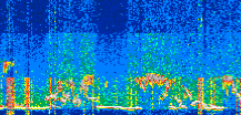/calipso-imagery/data/BROWSE/production/V5-00/2021-06-16/2021-06-16_17-59-04_V5.00_3_thmb.png image missing