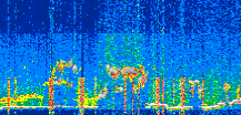 /calipso-imagery/data/BROWSE/production/V5-00/2021-06-16/2021-06-16_19-37-34_V5.00_3_thmb.png image missing