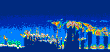 /calipso-imagery/data/BROWSE/production/V5-00/2021-06-16/2021-06-16_20-29-54_V5.00_1_thmb.png image missing