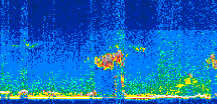 /calipso-imagery/data/BROWSE/production/V5-00/2021-06-16/2021-06-16_21-16-04_V5.00_2_thmb.png image missing