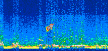 /calipso-imagery/data/BROWSE/production/V5-00/2021-06-16/2021-06-16_22-54-34_V5.00_2_thmb.png image missing