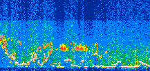 /calipso-imagery/data/BROWSE/production/V5-00/2021-06-19/2021-06-19_00-10-05_V5.00_3_thmb.png image missing