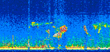 /calipso-imagery/data/BROWSE/production/V5-00/2021-06-19/2021-06-19_01-48-36_V5.00_2_thmb.png image missing