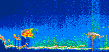 /calipso-imagery/data/BROWSE/production/V5-00/2021-06-19/2021-06-19_05-05-36_V5.00_1_thmb.png image missing
