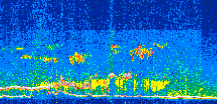 /calipso-imagery/data/BROWSE/production/V5-00/2021-06-19/2021-06-19_11-39-42_V5.00_2_thmb.png image missing