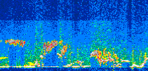 /calipso-imagery/data/BROWSE/production/V5-00/2021-06-19/2021-06-19_16-35-12_V5.00_3_thmb.png image missing