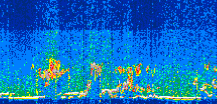 /calipso-imagery/data/BROWSE/production/V5-00/2021-06-19/2021-06-19_23-09-18_V5.00_3_thmb.png image missing