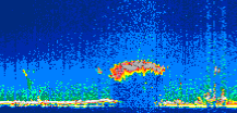 /calipso-imagery/data/BROWSE/production/V5-00/2021-06-20/2021-06-20_00-47-49_V5.00_1_thmb.png image missing