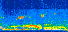 /calipso-imagery/data/BROWSE/production/V5-00/2021-06-20/2021-06-20_10-38-55_V5.00_2_thmb.png image missing