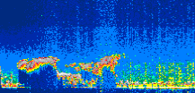 /calipso-imagery/data/BROWSE/production/V5-00/2021-06-20/2021-06-20_20-30-01_V5.00_1_thmb.png image missing