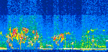 /calipso-imagery/data/BROWSE/production/V5-00/2021-06-20/2021-06-20_23-47-01_V5.00_3_thmb.png image missing