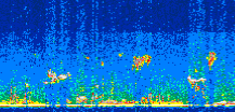 /calipso-imagery/data/BROWSE/production/V5-00/2021-06-23/2021-06-23_01-02-33_V5.00_2_thmb.png image missing