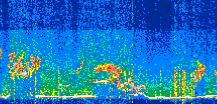 /calipso-imagery/data/BROWSE/production/V5-00/2021-06-23/2021-06-23_02-41-03_V5.00_3_thmb.png image missing