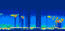 /calipso-imagery/data/BROWSE/production/V5-00/2021-06-23/2021-06-23_08-28-53_V5.00_2_thmb.png image missing