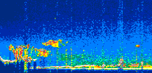 /calipso-imagery/data/BROWSE/production/V5-00/2021-06-23/2021-06-23_10-53-39_V5.00_1_thmb.png image missing