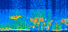 /calipso-imagery/data/BROWSE/production/V5-00/2021-06-23/2021-06-23_15-49-09_V5.00_3_thmb.png image missing