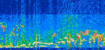 /calipso-imagery/data/BROWSE/production/V5-00/2021-06-23/2021-06-23_17-27-40_V5.00_3_thmb.png image missing