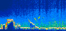 /calipso-imagery/data/BROWSE/production/V5-00/2021-06-23/2021-06-23_20-44-45_V5.00_1_thmb.png image missing