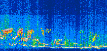 /calipso-imagery/data/BROWSE/production/V5-00/2021-06-23/2021-06-23_20-44-45_V5.00_3_thmb.png image missing