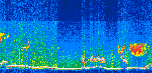 /calipso-imagery/data/BROWSE/production/V5-00/2021-06-24/2021-06-24_01-40-16_V5.00_3_thmb.png image missing