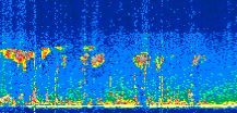 /calipso-imagery/data/BROWSE/production/V5-00/2021-06-24/2021-06-24_03-18-46_V5.00_2_thmb.png image missing