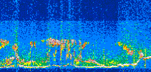 /calipso-imagery/data/BROWSE/production/V5-00/2021-06-24/2021-06-24_04-57-16_V5.00_3_thmb.png image missing