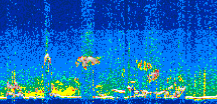 /calipso-imagery/data/BROWSE/production/V5-00/2021-06-24/2021-06-24_11-31-22_V5.00_3_thmb.png image missing
